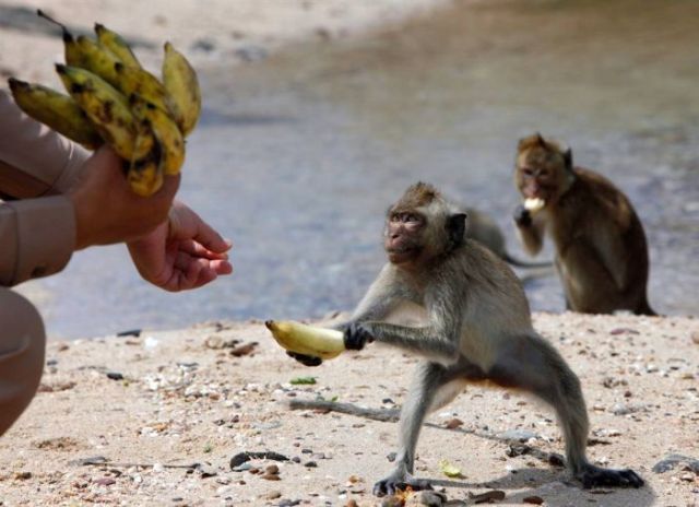 Daily picdump (118 pics)
