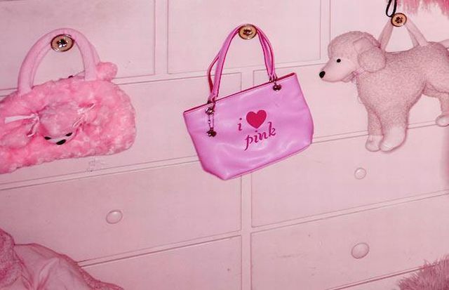 The Life in Pink Colors (14 pics)