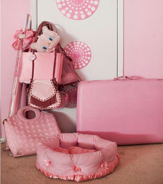 The Life in Pink Colors (14 pics)