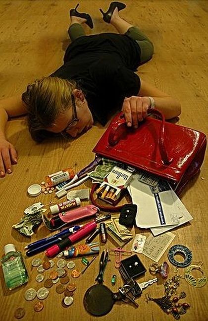 The world of the purse (14 pics)