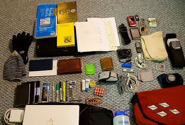 The world of the purse (14 pics)