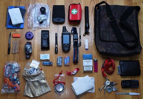 The world of the purse (14 pics)