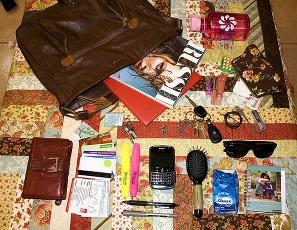 The world of the purse (14 pics)