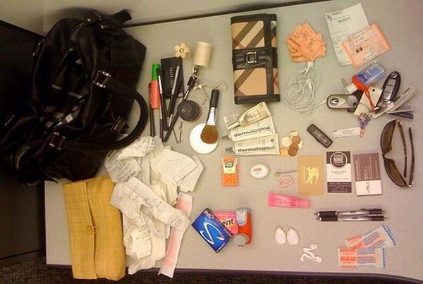 The world of the purse (14 pics)