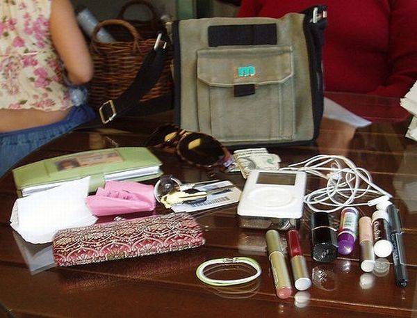 The world of the purse (14 pics)