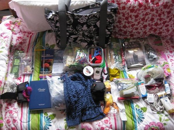 The world of the purse (14 pics)