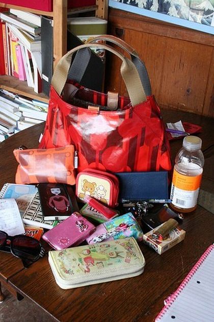 The world of the purse (14 pics)