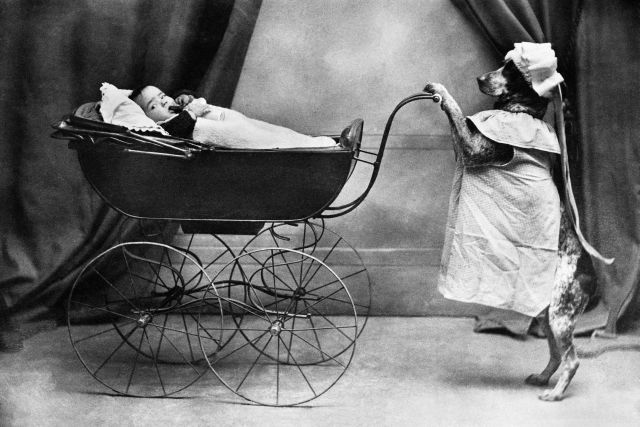 Time Travel (99 pics)