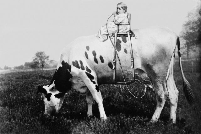 Time Travel (99 pics)