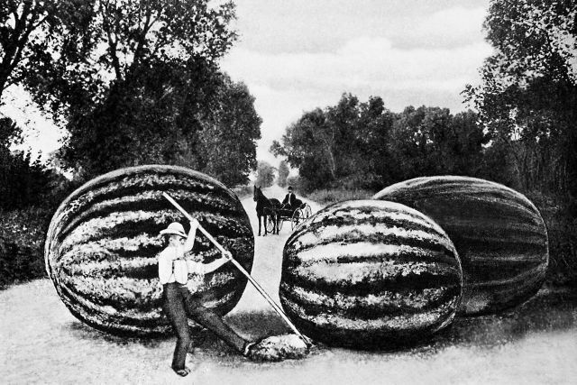 Time Travel (99 pics)
