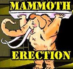 30 most unfortunate websites’ domain names (24 pics)