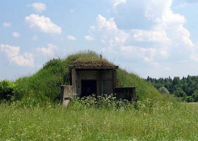 VIP Bunker (12 pics)