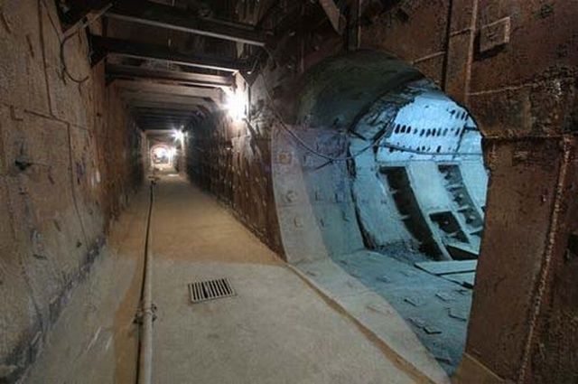 VIP Bunker (12 pics)