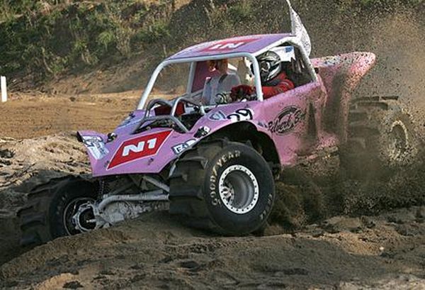 All terrains vehicles (28 pics)