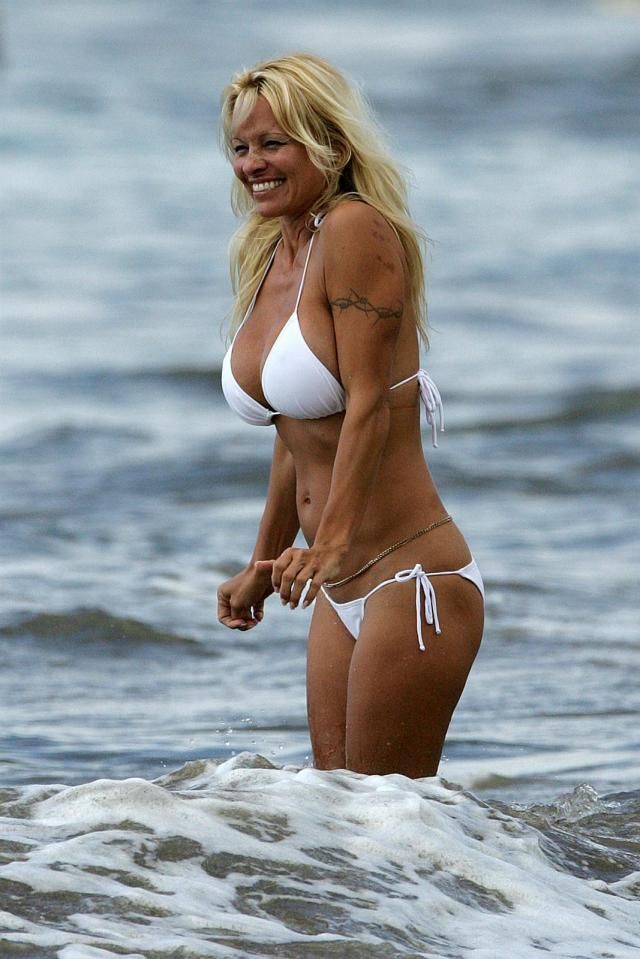 Pamela Anderson on the Beach (12 pics)