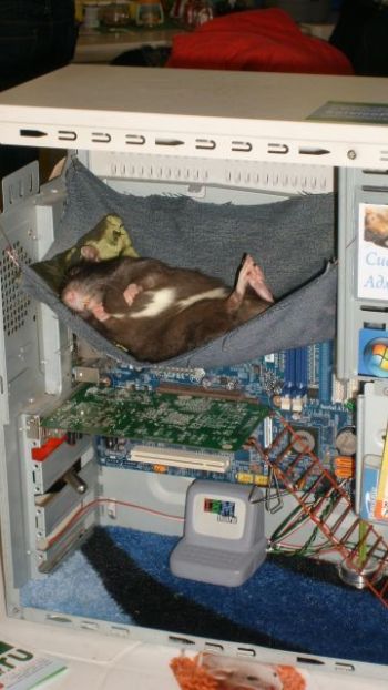 Daily picdump (111 pics)