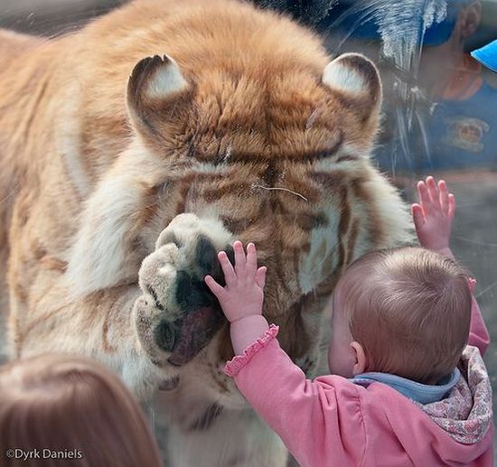 Daily picdump (111 pics)