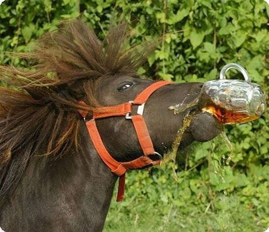 Daily picdump (111 pics)
