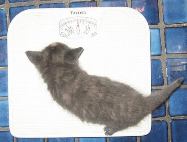 Daily picdump (111 pics)