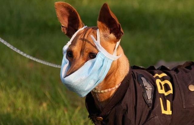 Daily picdump (111 pics)