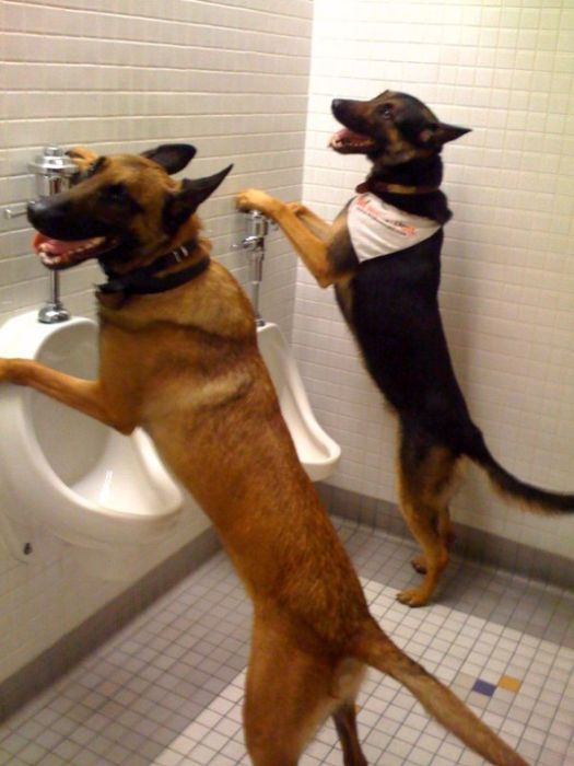 Daily picdump (111 pics)