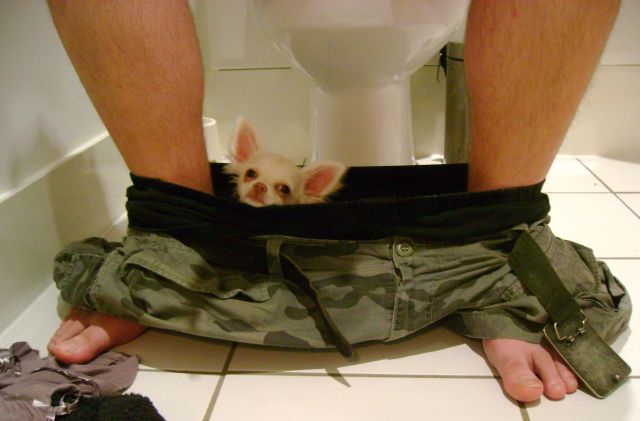 Daily picdump (111 pics)
