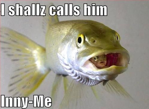 Daily picdump (111 pics)