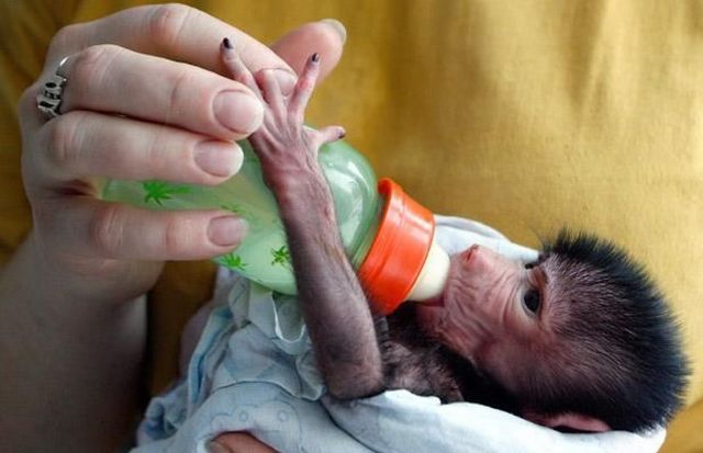 Daily picdump (111 pics)