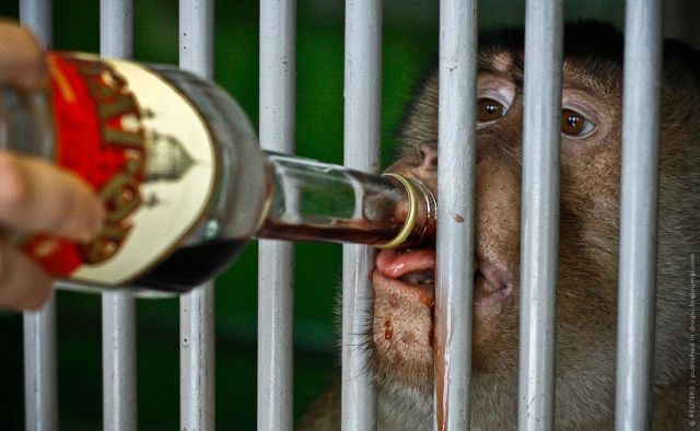 Daily picdump (111 pics)