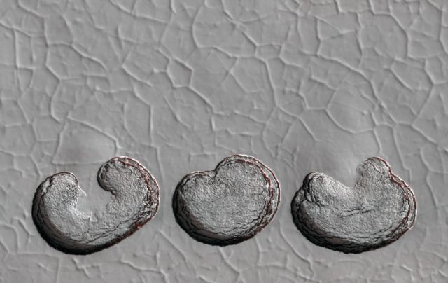 Fascinating Landscapes of Mars (35 pics)