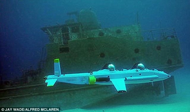 Incredible Super Aviator sub (5 pics)