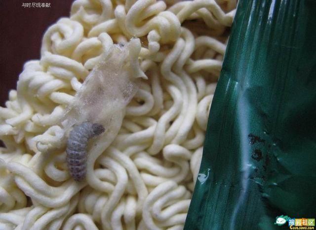 Chinese Instant Noodles (6 pics)