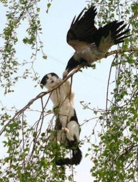 Daily picdump (119 pics)