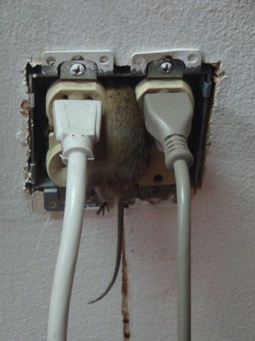 Daily picdump (119 pics)