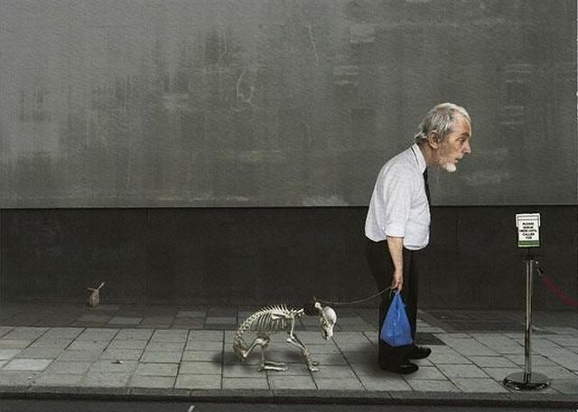 Daily picdump (119 pics)