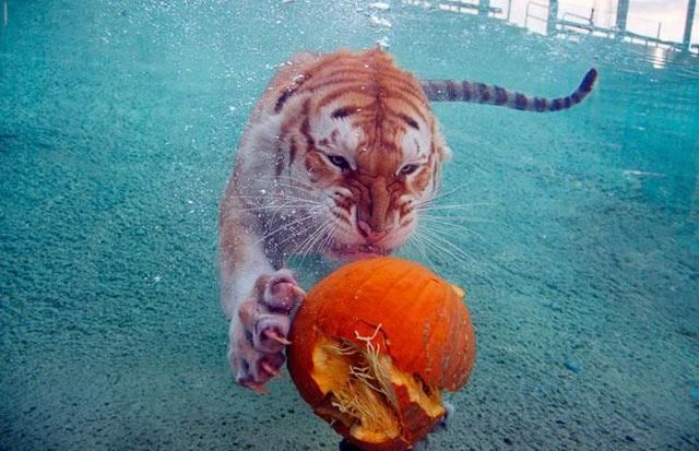 Daily picdump (119 pics)