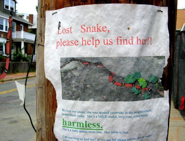 Daily picdump (119 pics)