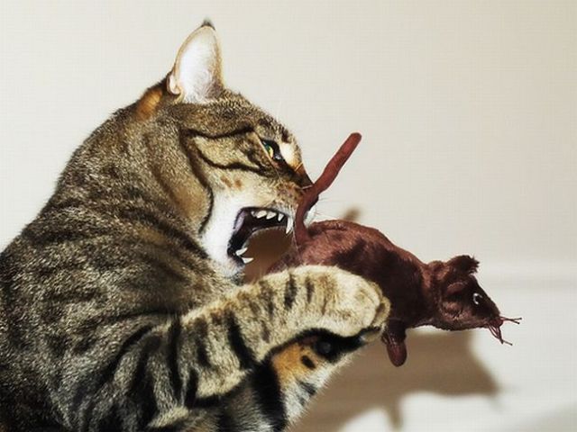 Daily picdump (119 pics)