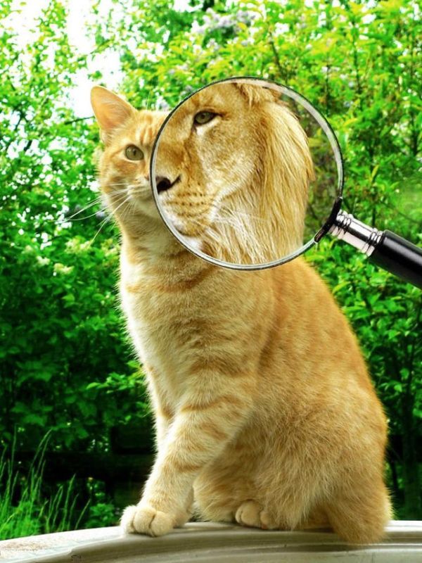 Daily picdump (119 pics)