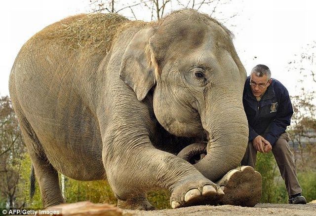 Daily picdump (119 pics)
