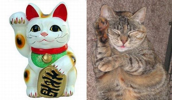 Daily picdump (119 pics)