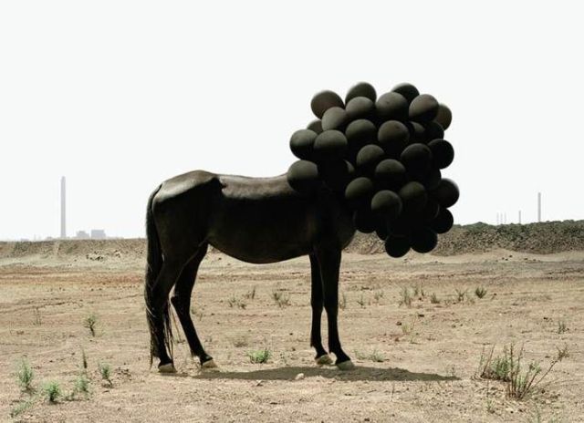 Daily picdump (119 pics)