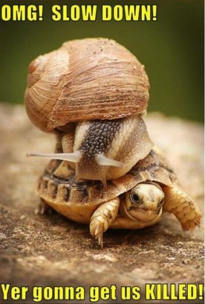 Daily picdump (119 pics)