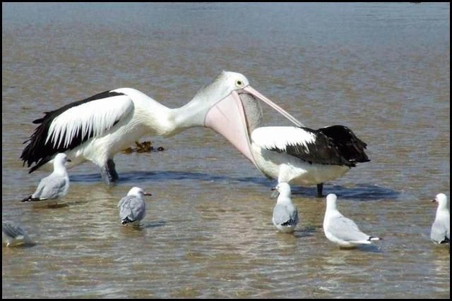 Daily picdump (119 pics)