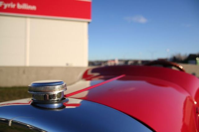 Donald Duck’s Car Has Been Built for Real! (15 pics)