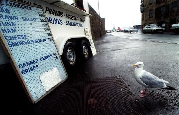 Photos of Life (35 pics)