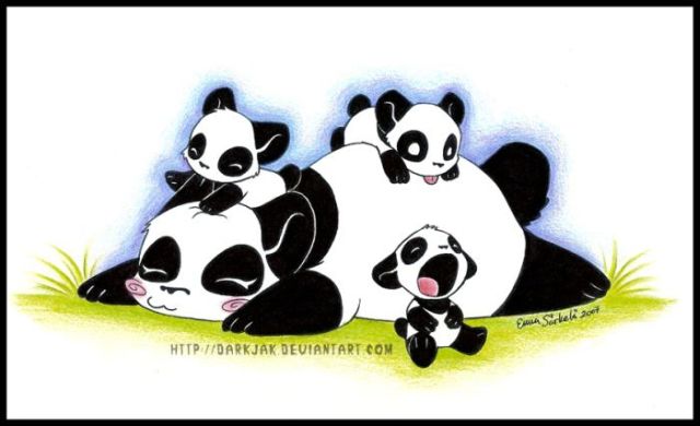 Güzel Panda Çizimleri