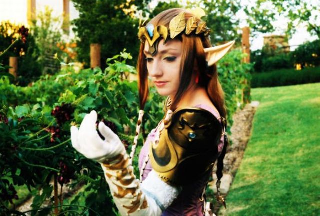 Princess Zelda (18 pics)