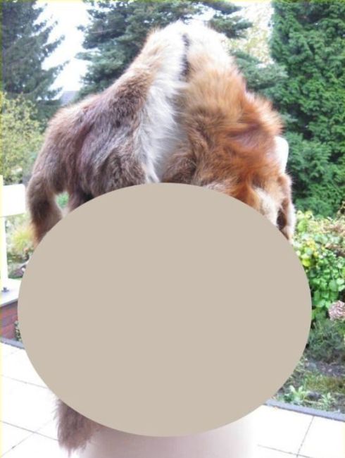 Fox Fur and Photomontages (17 pics)