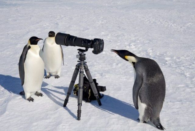 Daily picdump (115 pics)